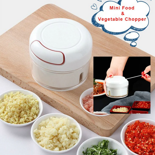 Mini Food Chopper & Blender